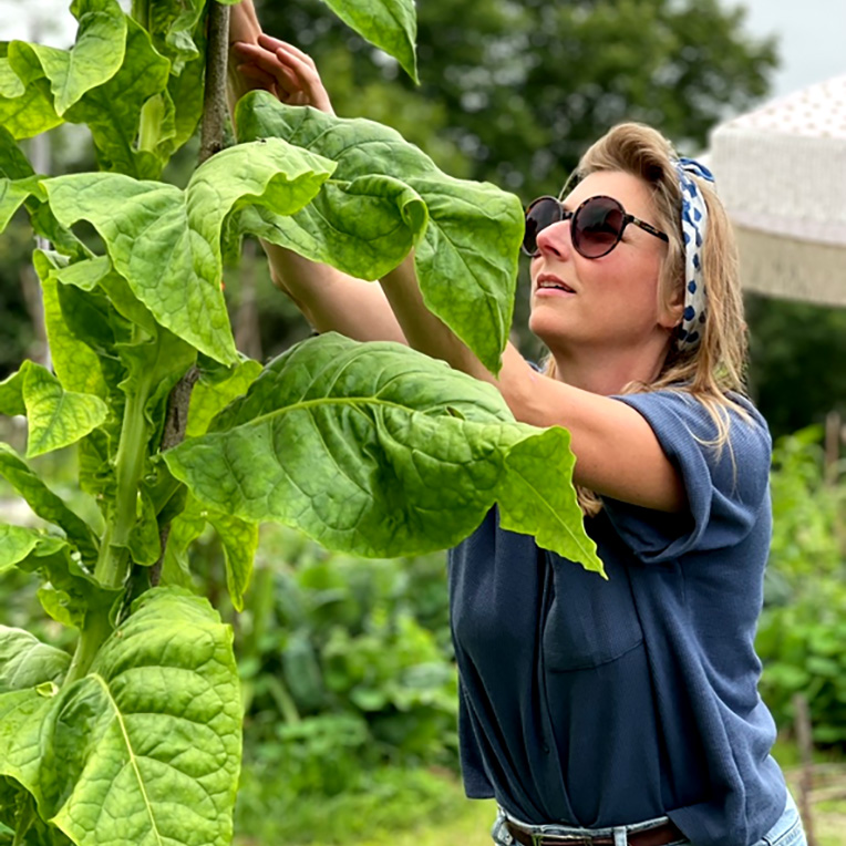 Sarah Arbetar Kvadrat