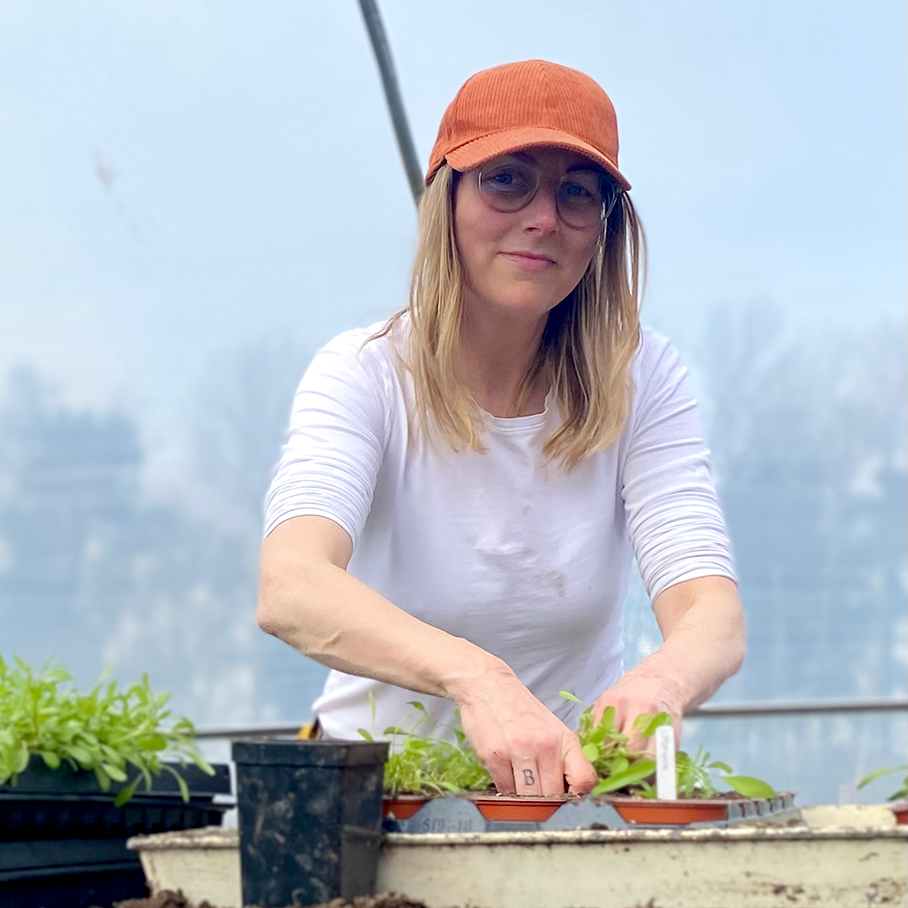 Sarah Planterar Kvadrat