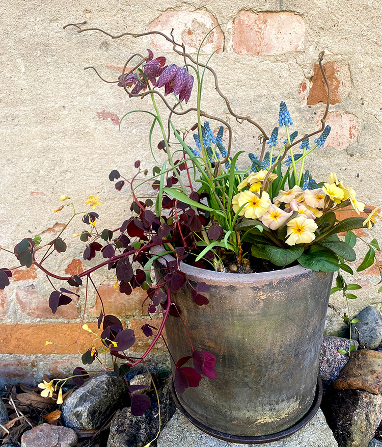 Vararrangemang1 Crop