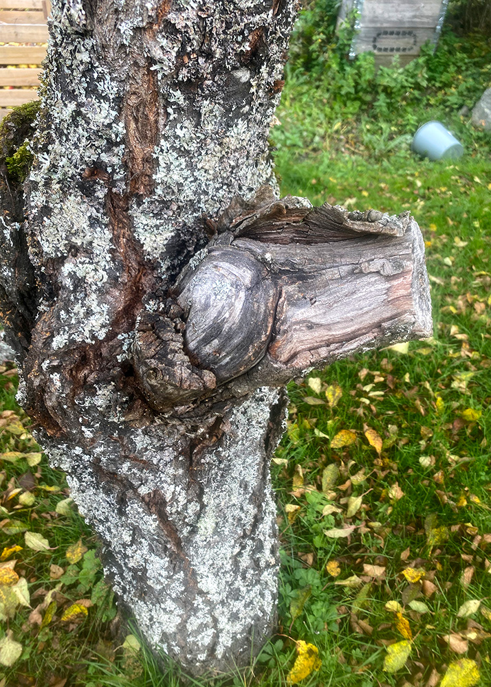 Helt Fel Beskarning 3